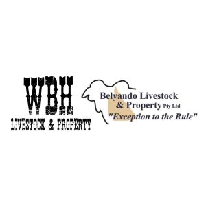Belyando Livestock & Property Pty Ltd - Alpha