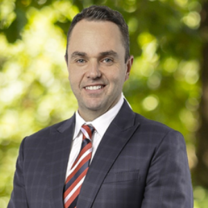 David Rubinic  Agent