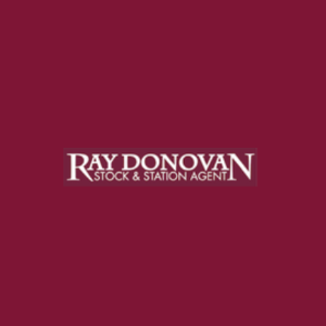 Ray Donovan  Agent