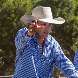 Steve Daley   Agent