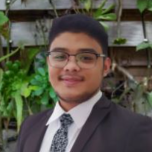 Ron Mamiit  Agent