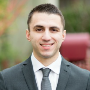 Aleksandar Sljivic  Agent