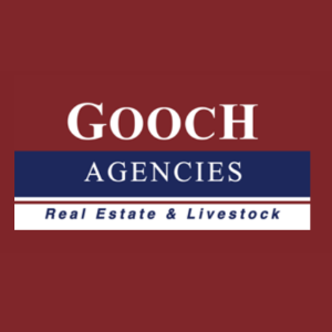 Casey Gooch  Agent