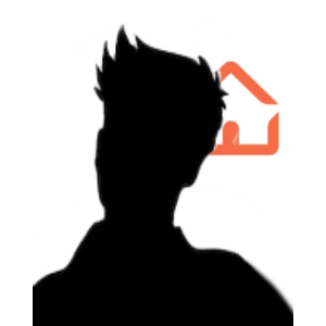 David Siedlecki  Agent