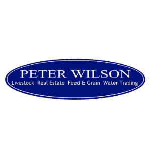 Peter Wilson  Agent