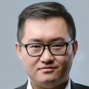 Vincent Yang  Agent