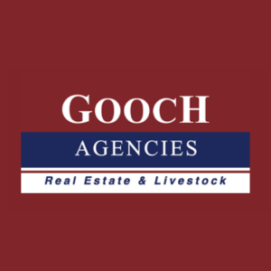 James Gooch  Agent