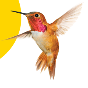 Nectar Mortgages - Michelle Kerr