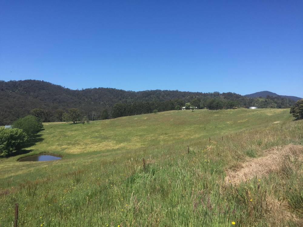 616 New Buildings Road, Wyndham, NSW 2550