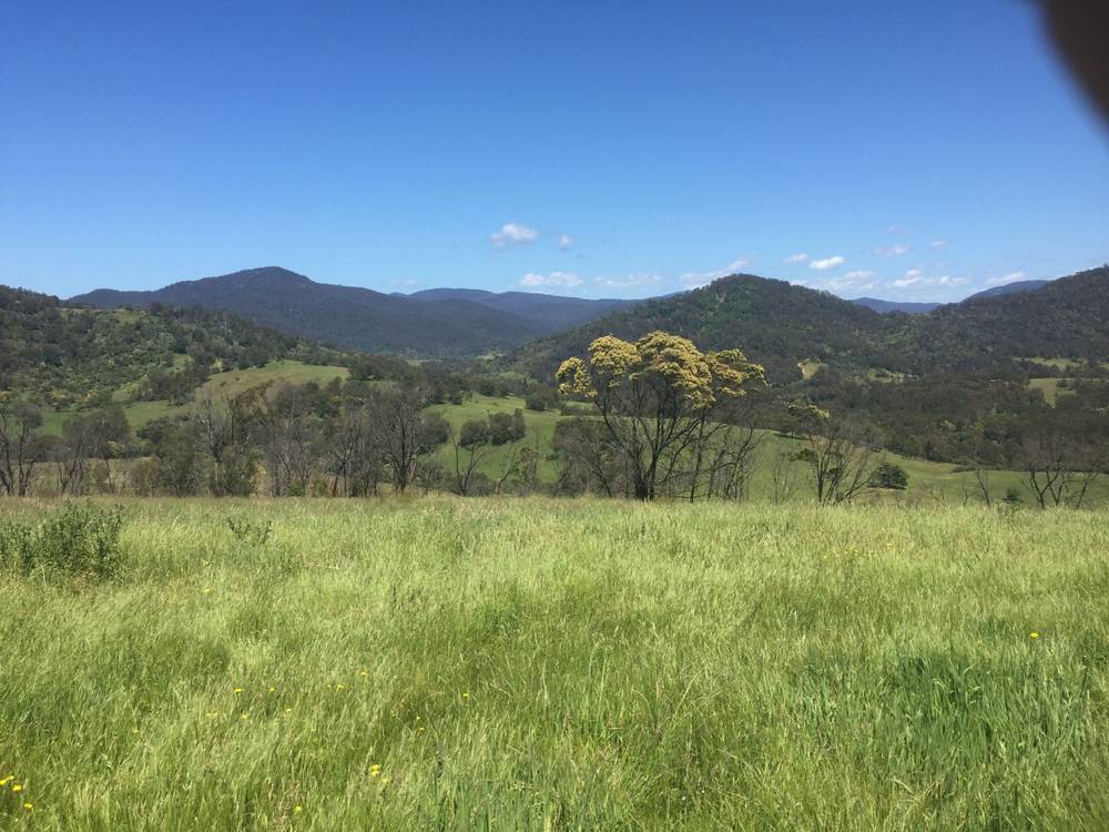 616 New Buildings Road, Wyndham, NSW 2550