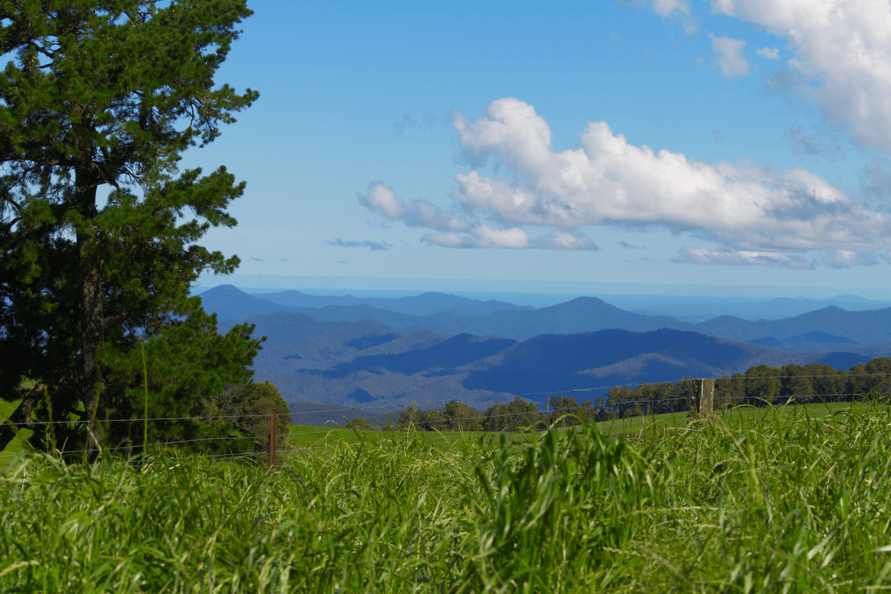 5287 Waterfall Way, DORRIGO, NSW 2453