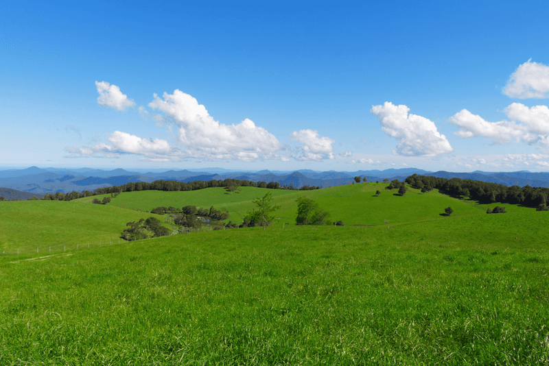 5287 Waterfall Way, DORRIGO, NSW 2453