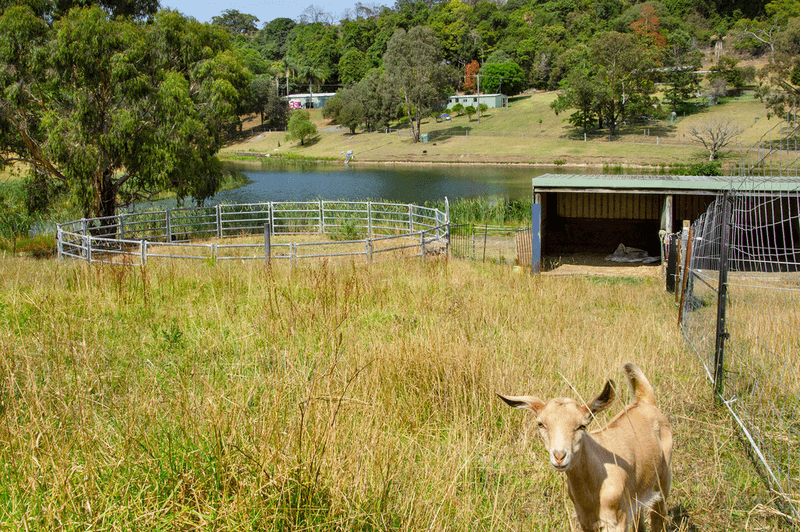 320 CROOME Road, ALBION PARK, NSW 2527