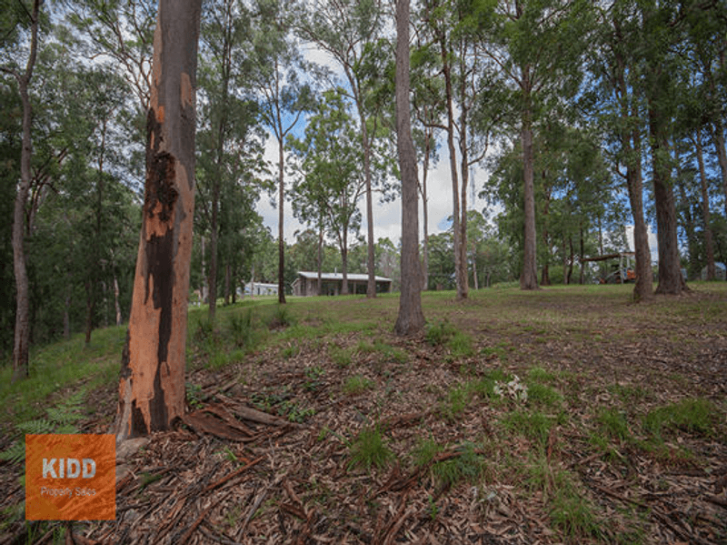 216 Sternbeck Road, BUCKETTY, NSW 2250