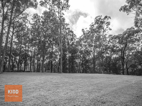 216 Sternbeck Road, BUCKETTY, NSW 2250