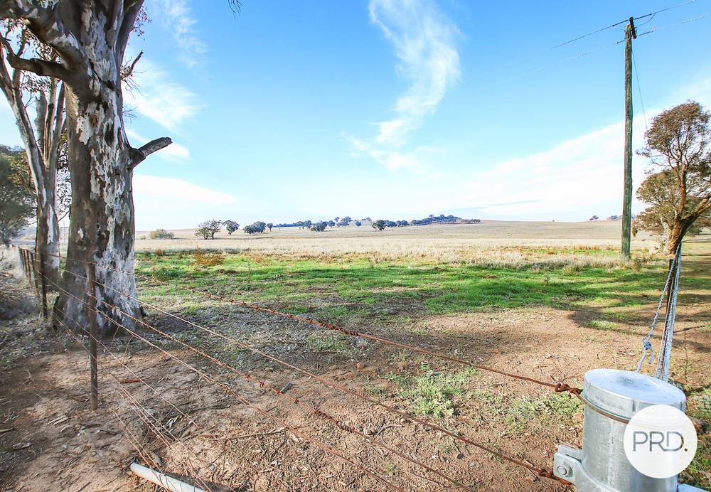 838 Bethel Road, GLENELLEN, NSW 2642