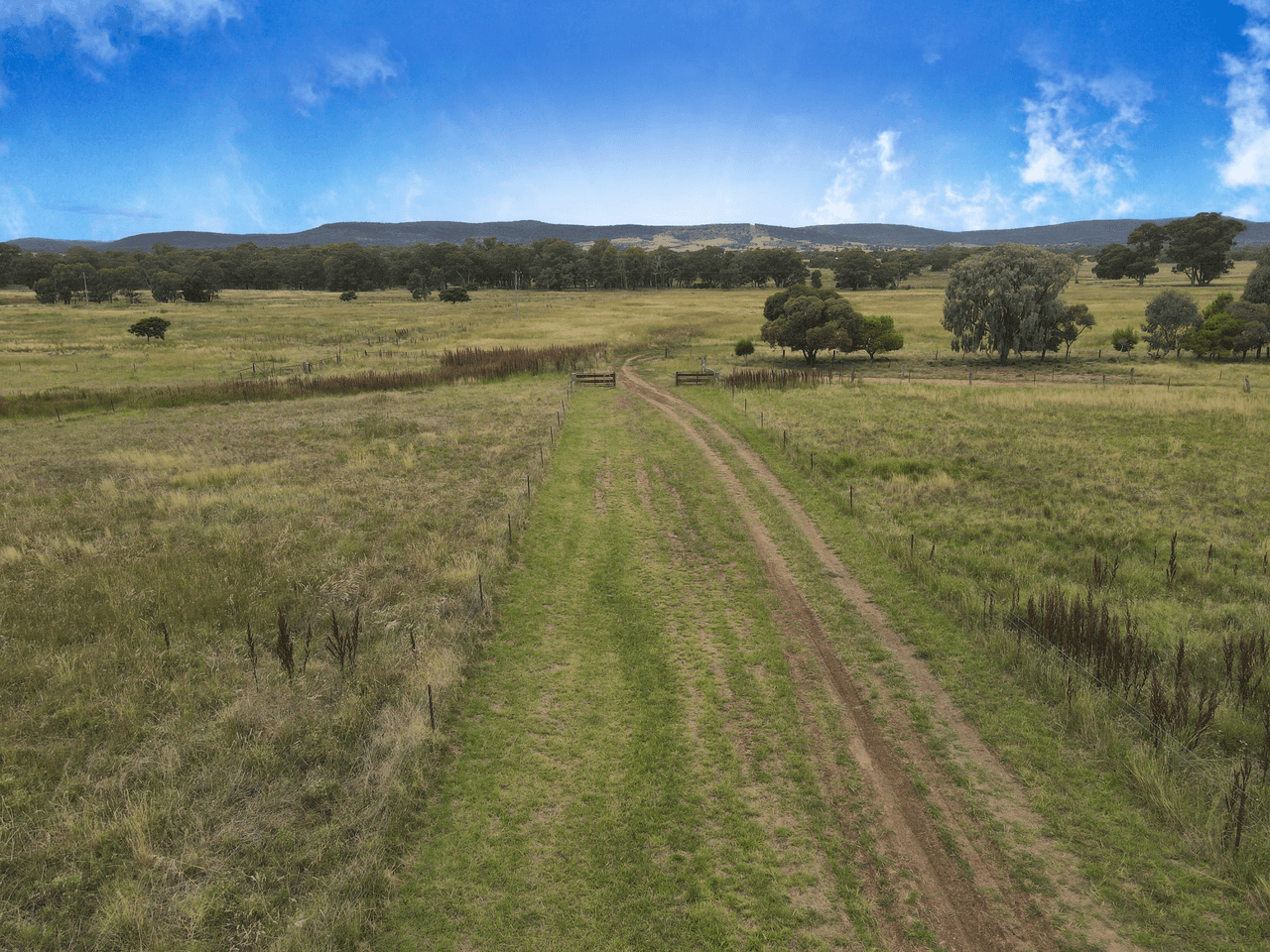 54 Cooka Hills Road, PARKES, NSW 2870