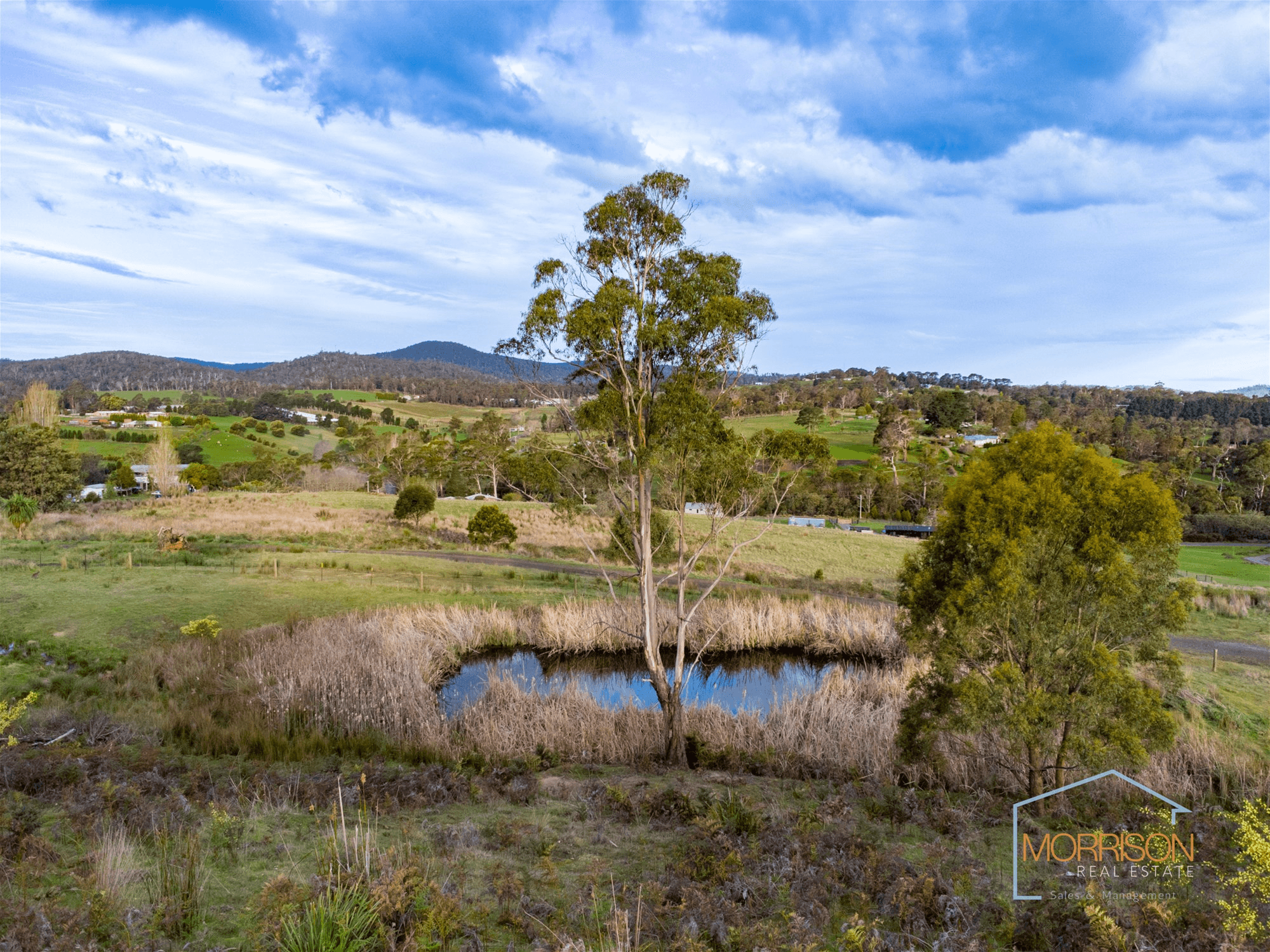 26 Henry Street, HILLWOOD, TAS 7252