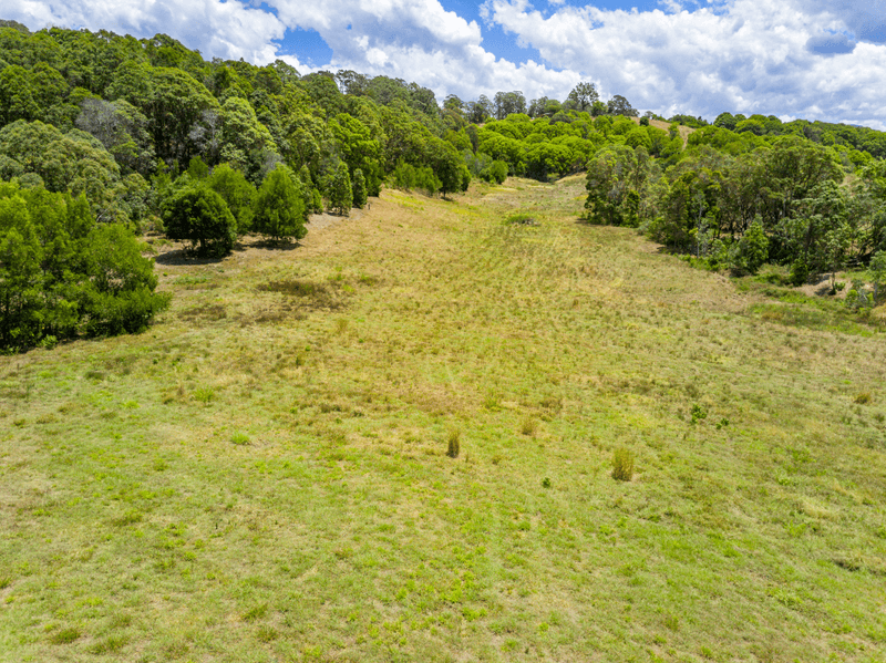 Tuckeroo Ave, MULLUMBIMBY, NSW 2482