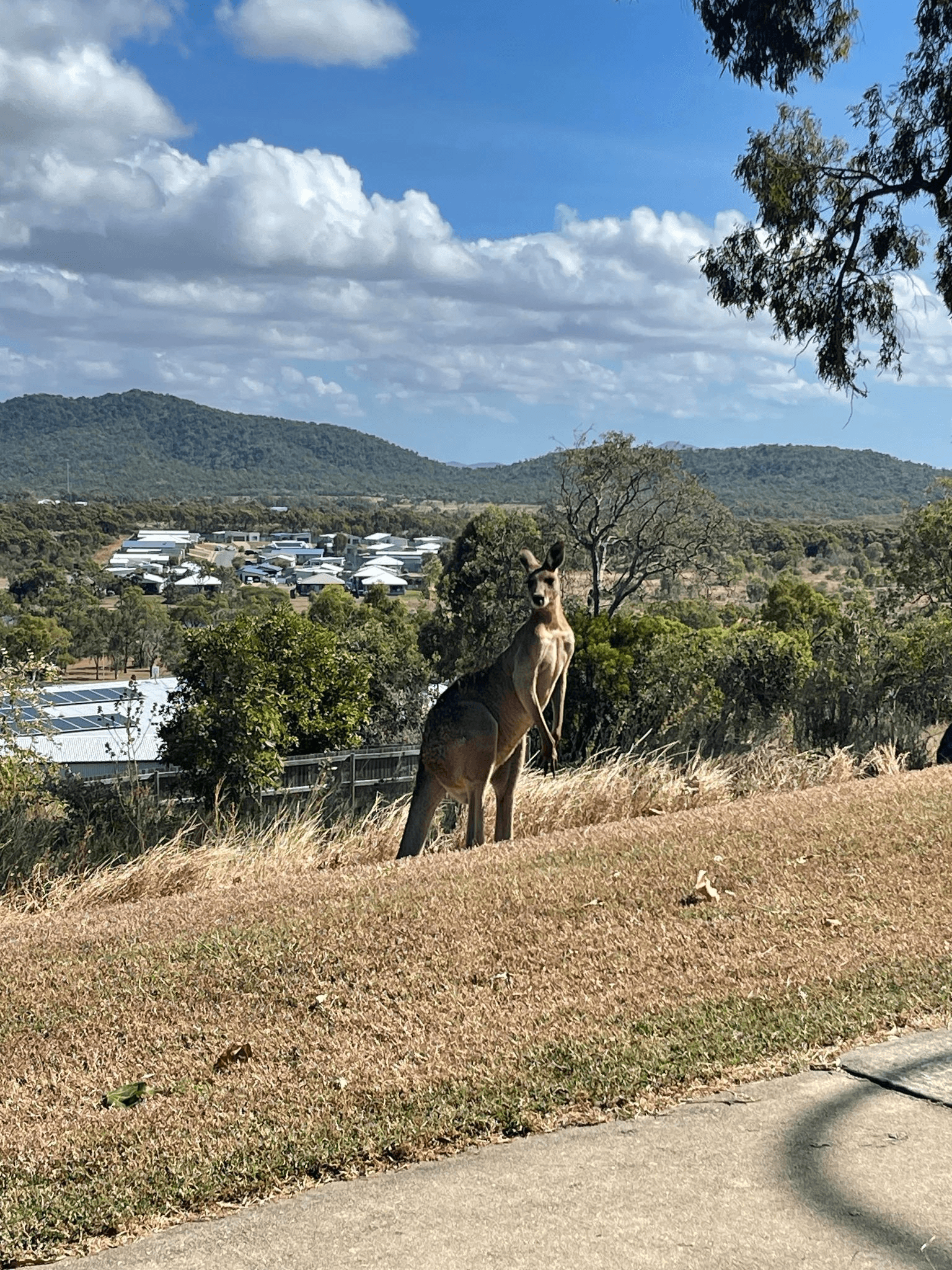 9 Harbour View Terrace, BOWEN, QLD 4805