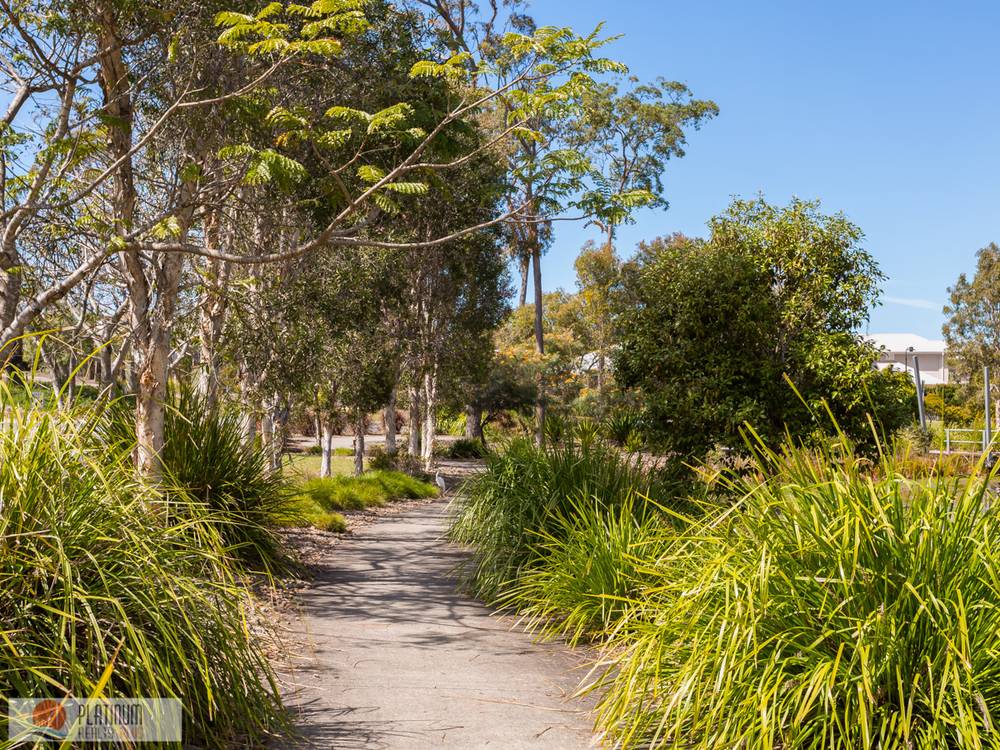 80 O'Reilly Drive, COOMERA, QLD 4209