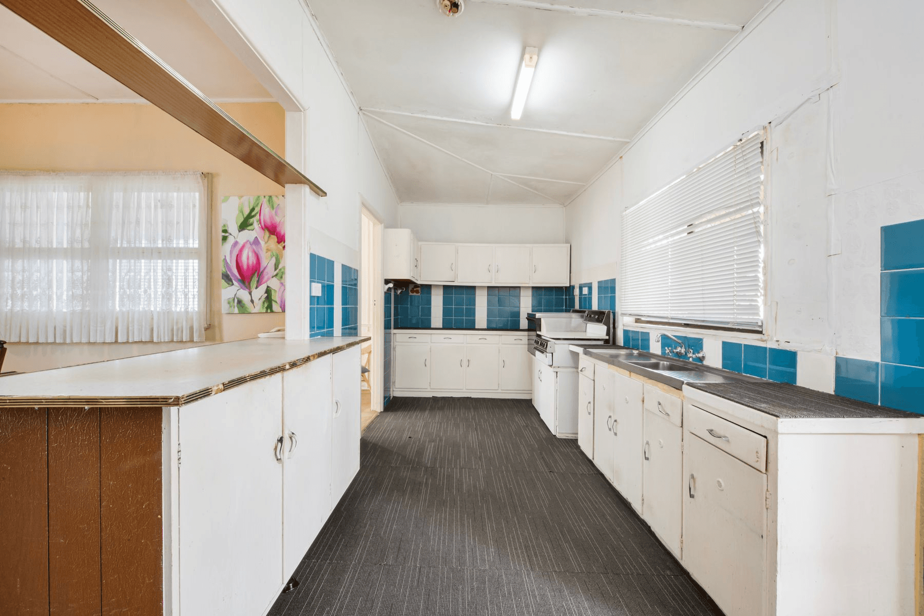 29 Shelly Beach Road, Shelly Beach, NSW 2261