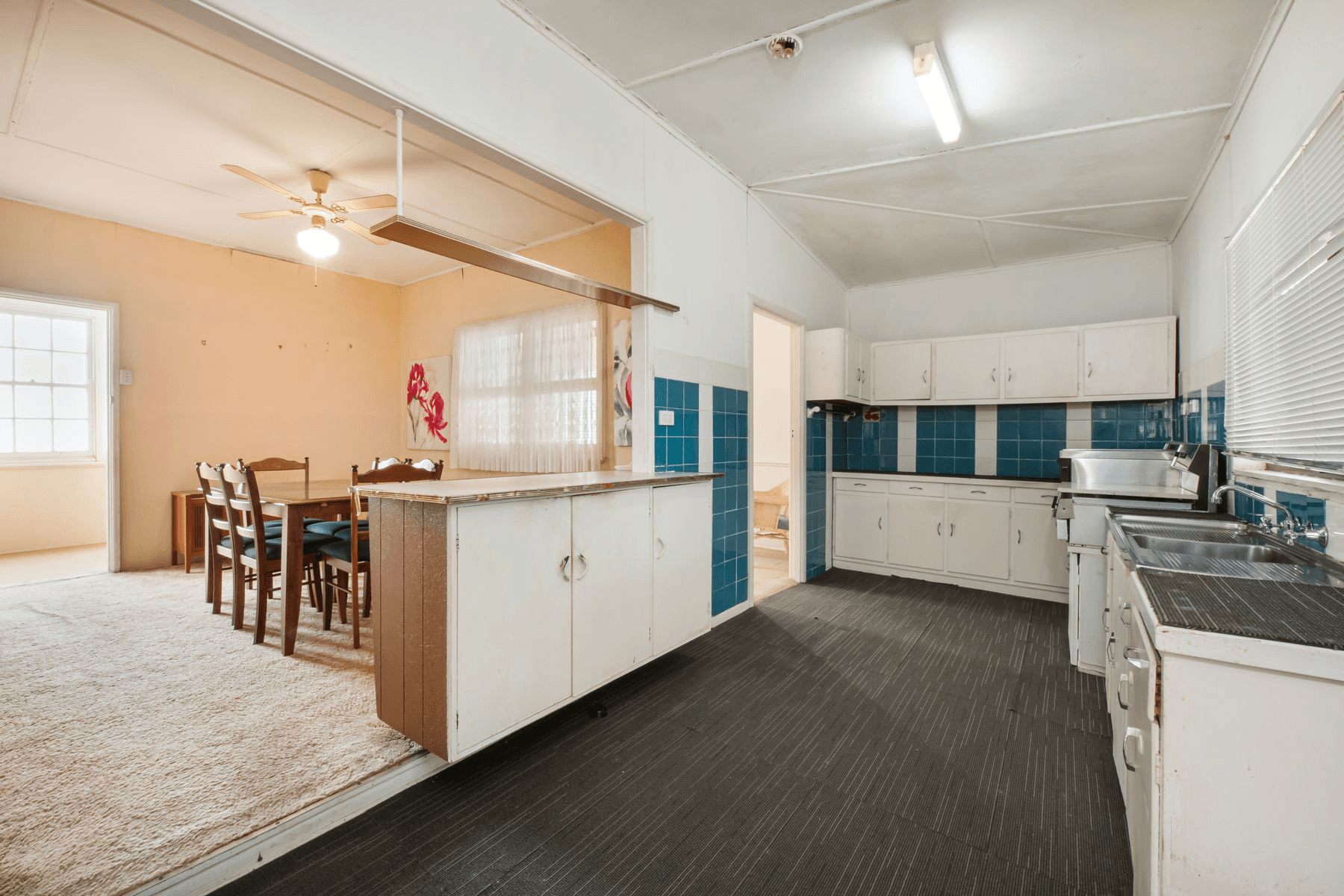 29 Shelly Beach Road, Shelly Beach, NSW 2261