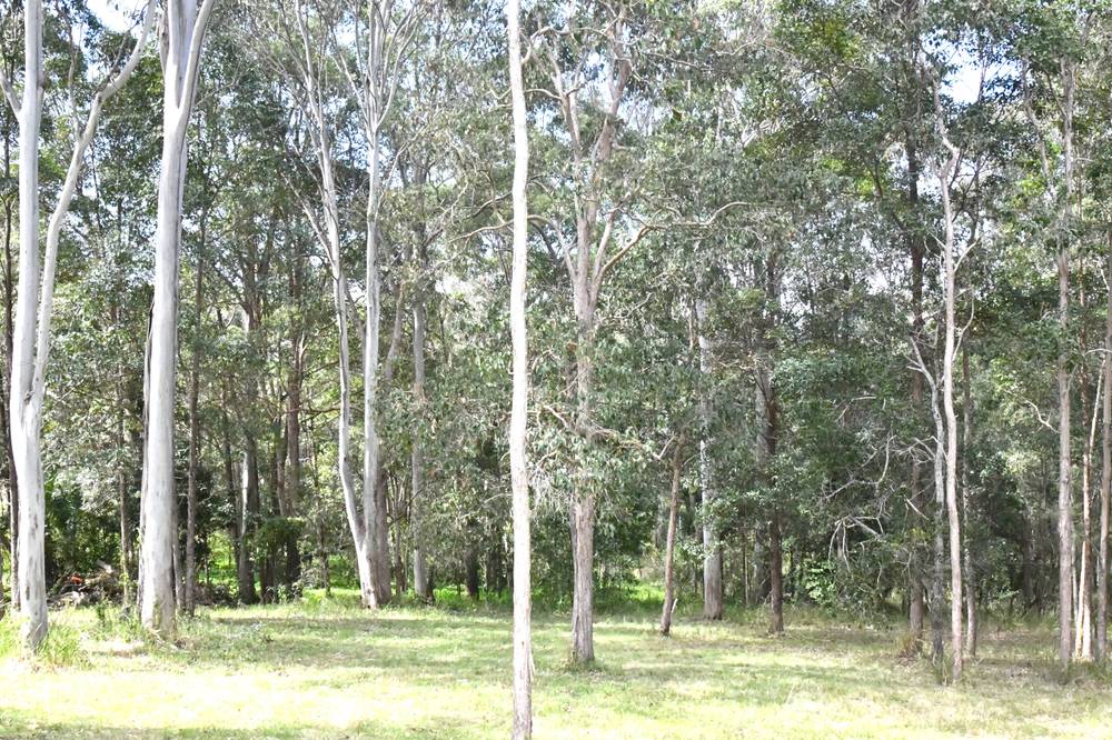 939 Eumundi Noosa Rd, Doonan, QLD 4562