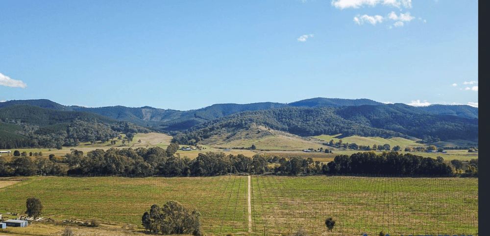551B Buffalo River Road, Buffalo River, VIC 3737