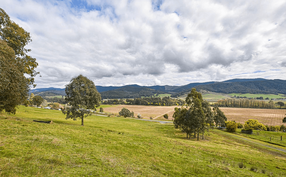 551B Buffalo River Road, Buffalo River, VIC 3737