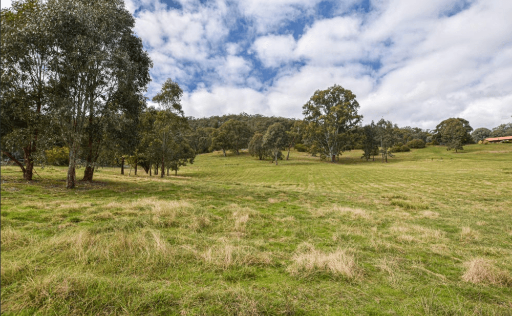 551B Buffalo River Road, Buffalo River, VIC 3737