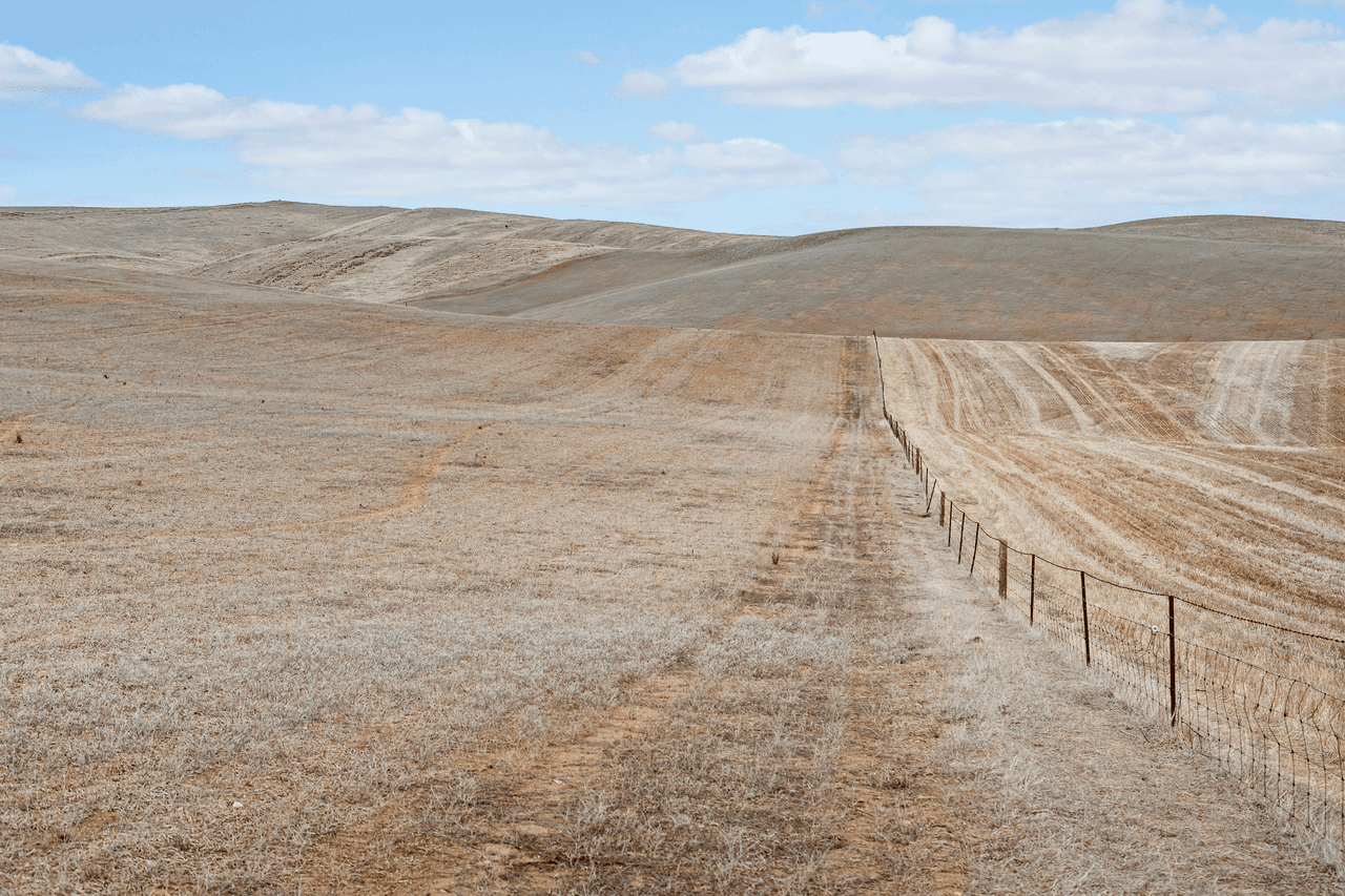 'Maxwells' Pattersons Road, WEST BUNDALEER, SA 5491
