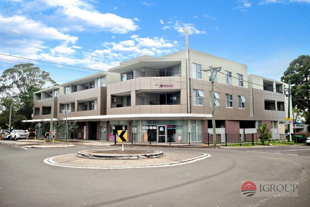 Unit 226/203 Birdwood Rd, Georges Hall, NSW 2198