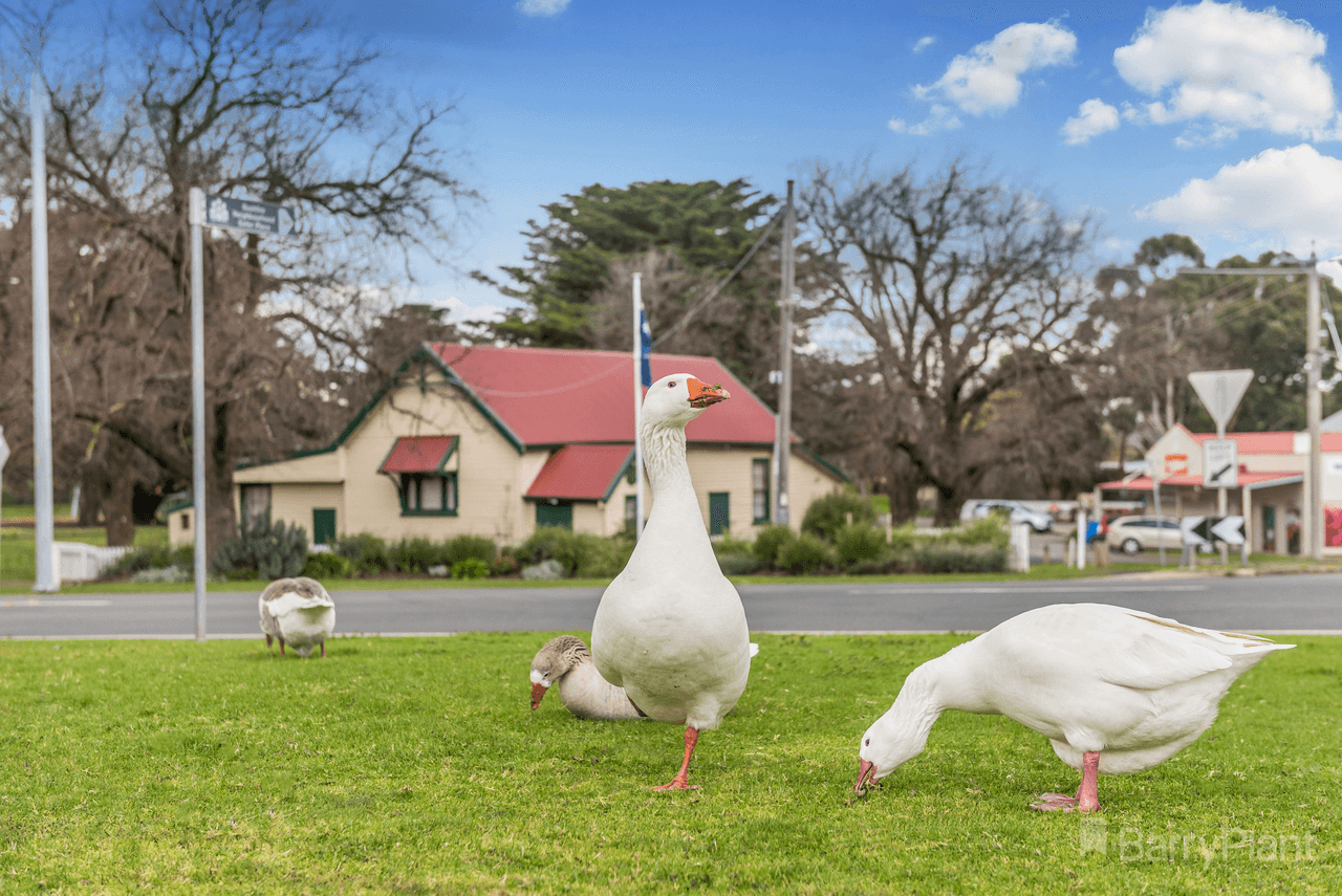 Lot 8 (No 40) Yellowgum Avenue, RIDDELLS CREEK, VIC 3431