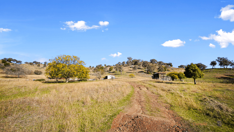 9272 Murray River Road, Walwa, VIC 3709