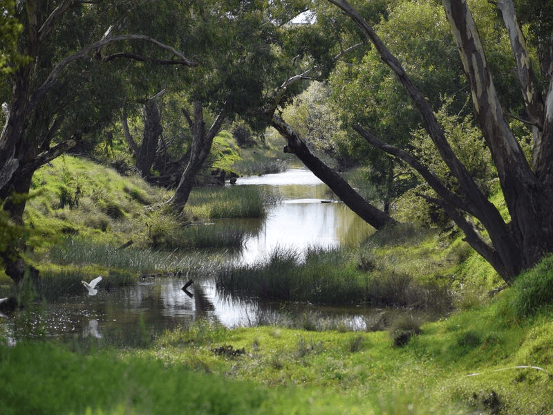 2 Kirkton Road, YASS, NSW 2582