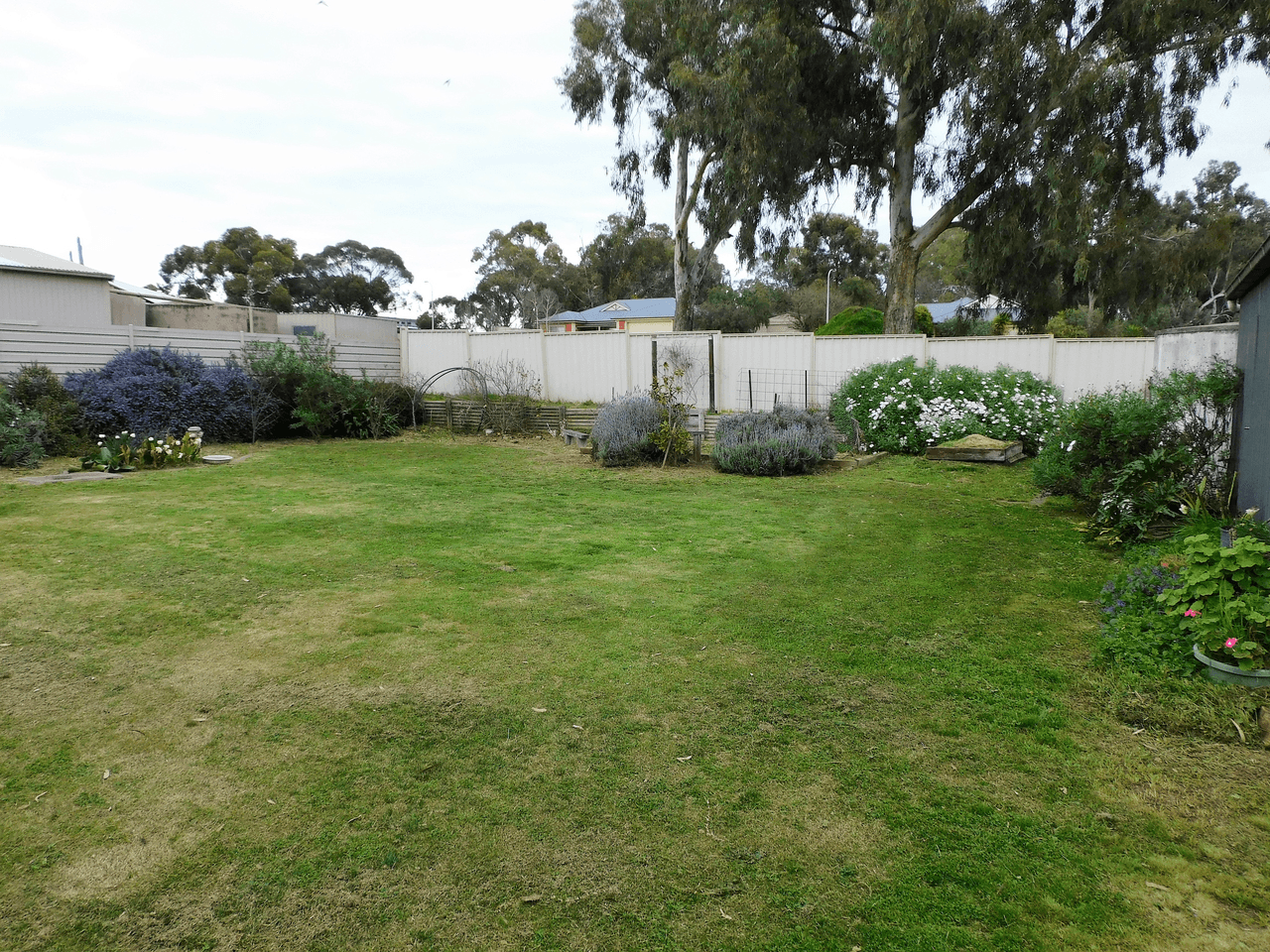 33 Creecoona Terrace, BORDERTOWN, SA 5268