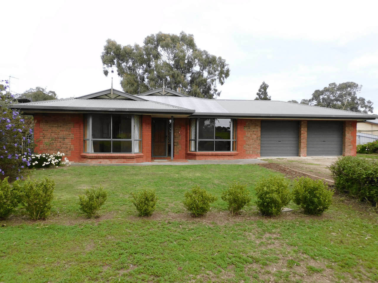 33 Creecoona Terrace, BORDERTOWN, SA 5268