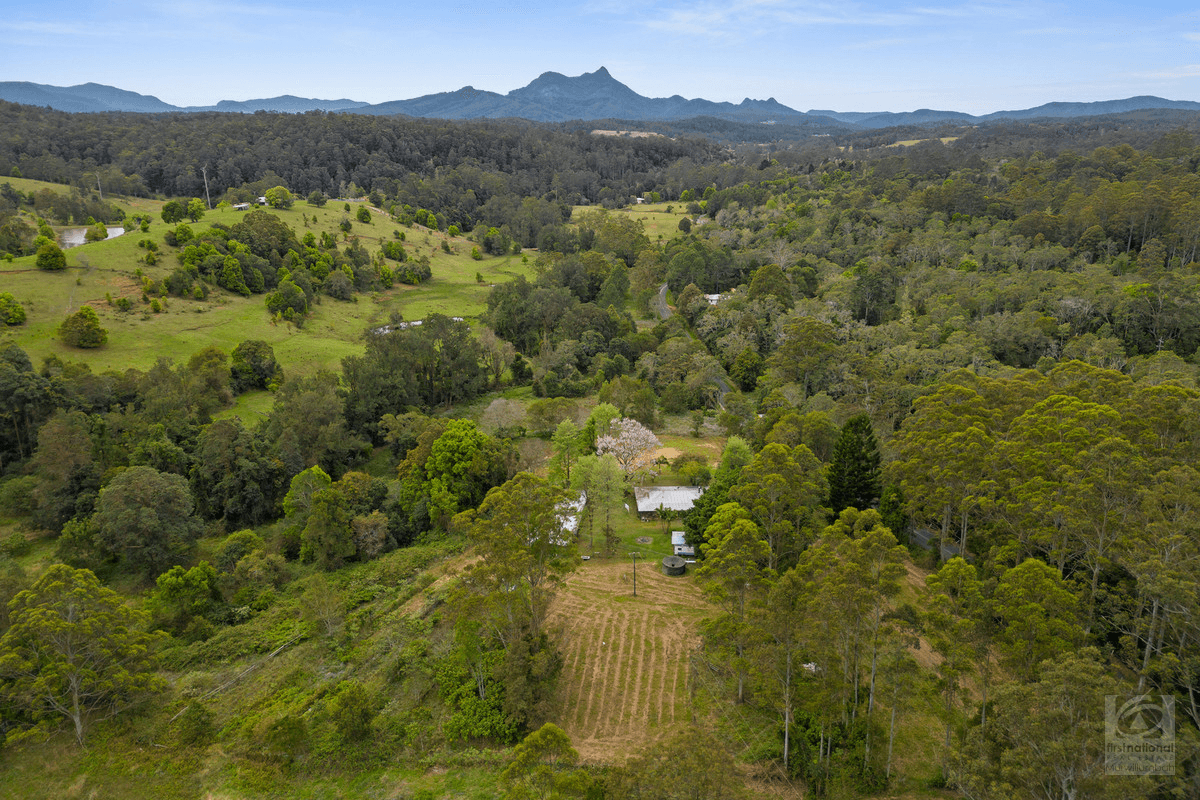 3808 Kyogle Road, Mount Burrell, NSW 2484