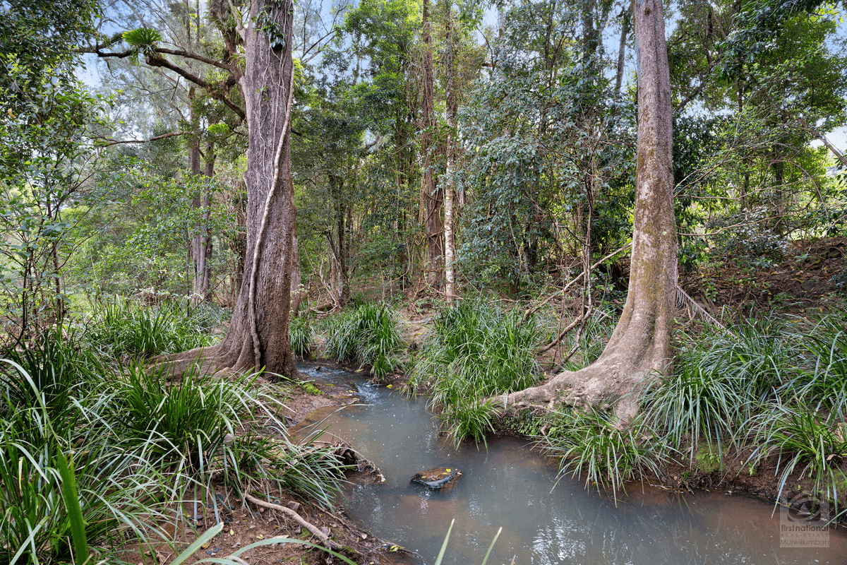 3808 Kyogle Road, Mount Burrell, NSW 2484