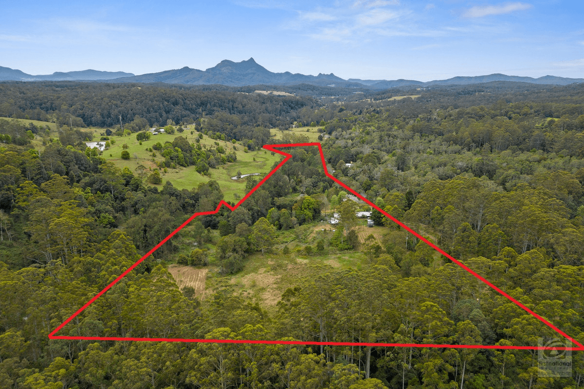 3808 Kyogle Road, Mount Burrell, NSW 2484