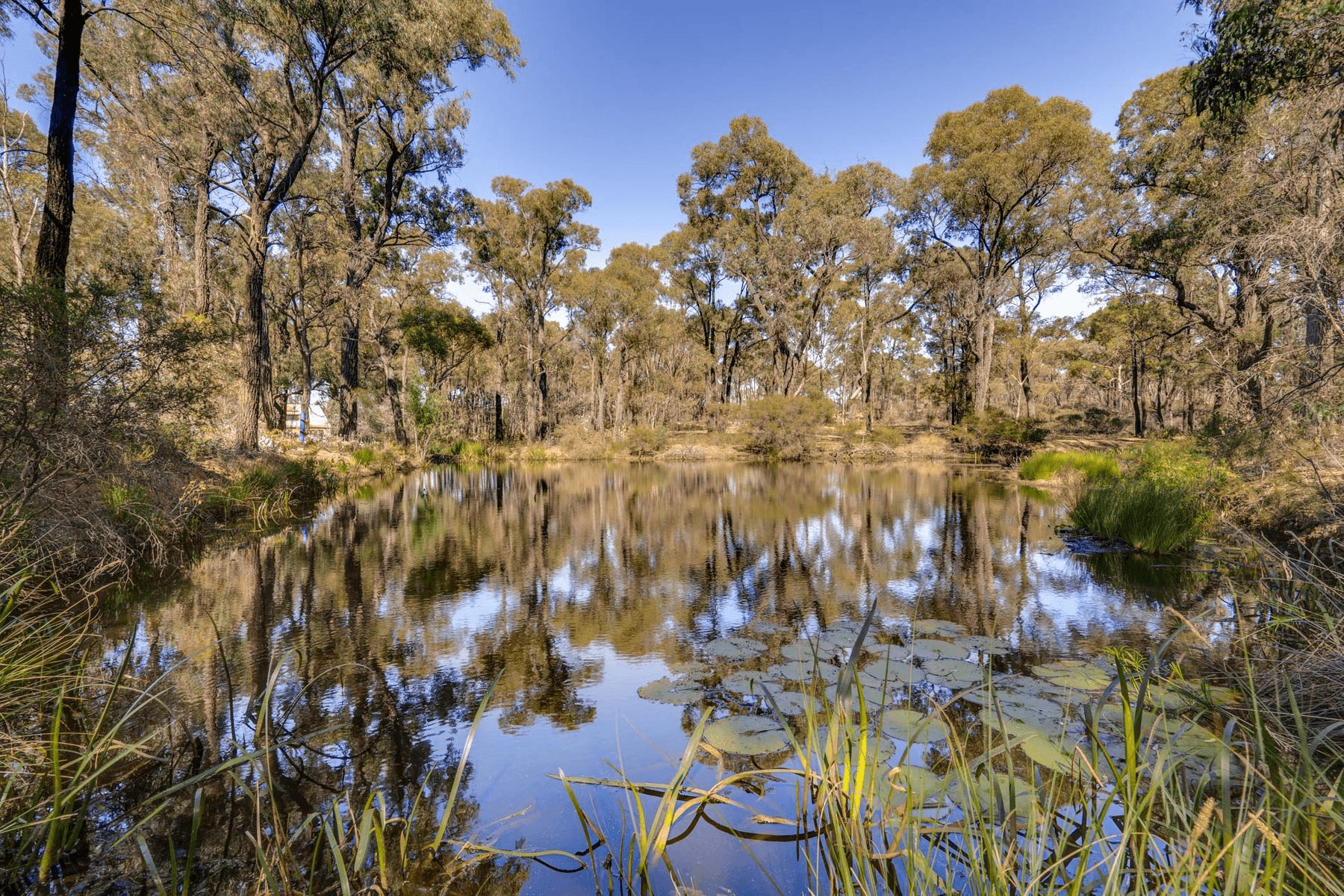 4 Prowse Road, EAGLEHAWK, VIC 3556