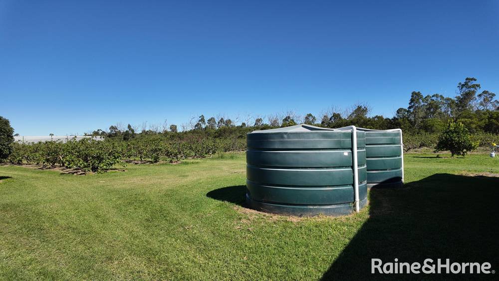 135 Newlands Road, NORTH GREGORY, QLD 4660