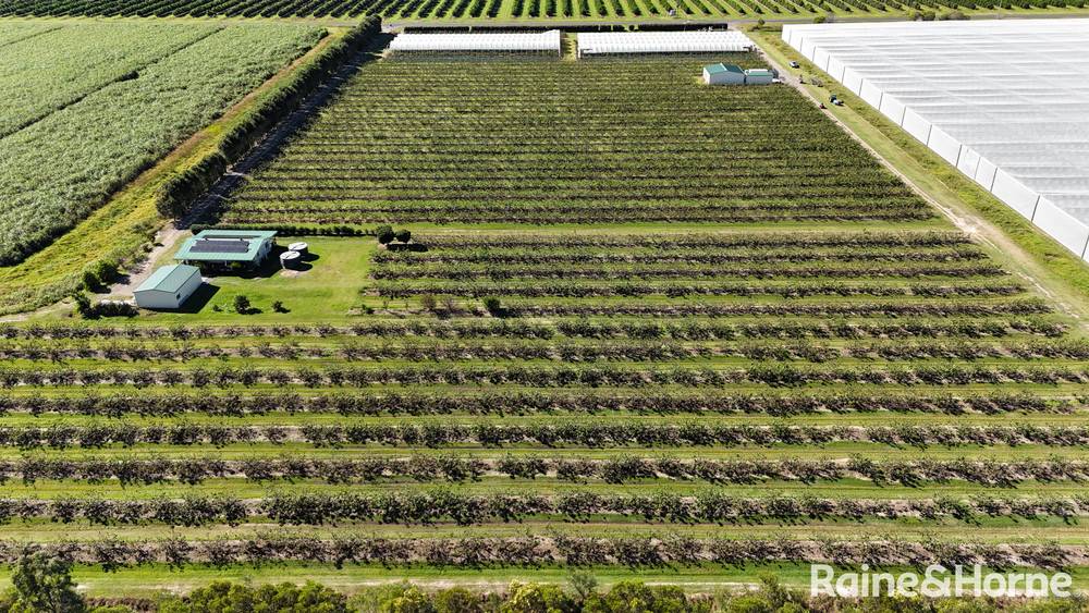 135 Newlands Road, NORTH GREGORY, QLD 4660
