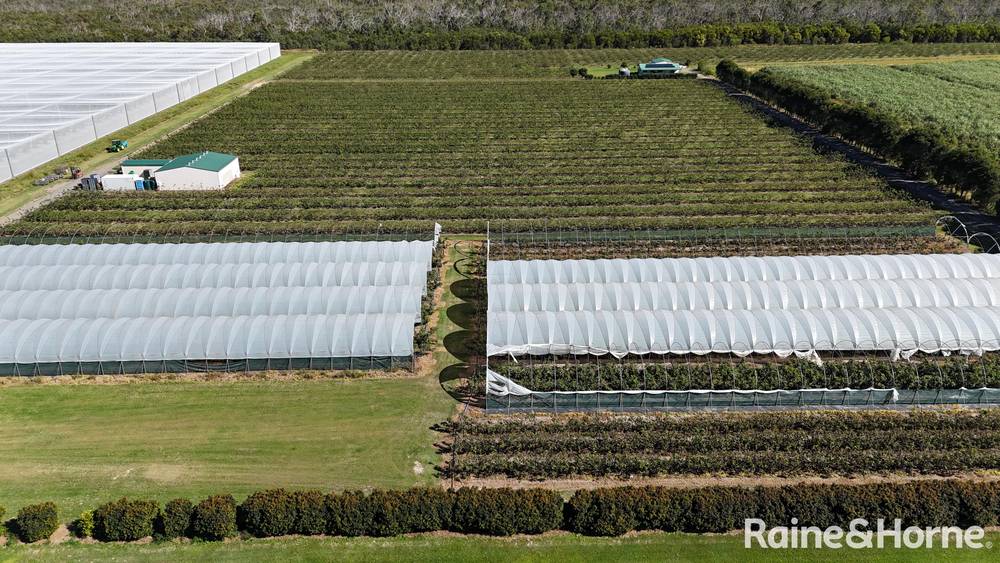 135 Newlands Road, NORTH GREGORY, QLD 4660