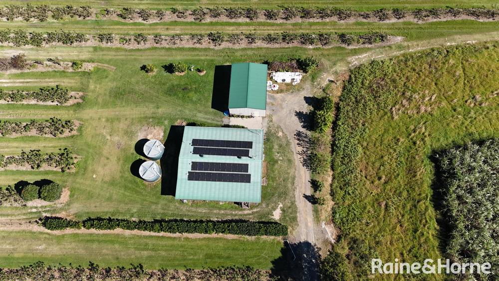 135 Newlands Road, NORTH GREGORY, QLD 4660