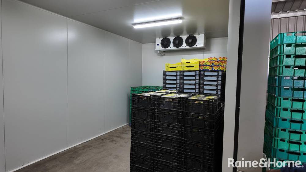 135 Newlands Road, NORTH GREGORY, QLD 4660