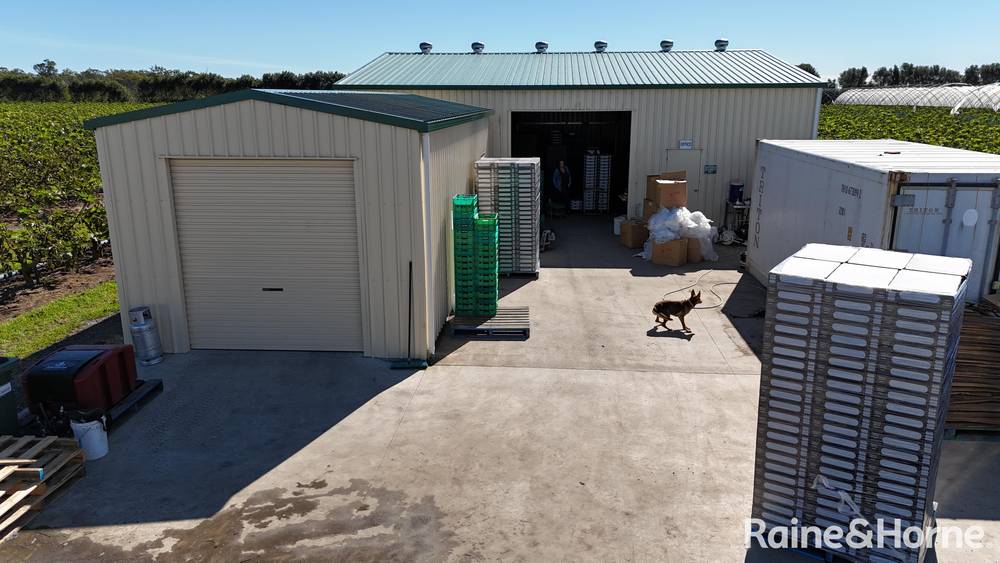 135 Newlands Road, NORTH GREGORY, QLD 4660