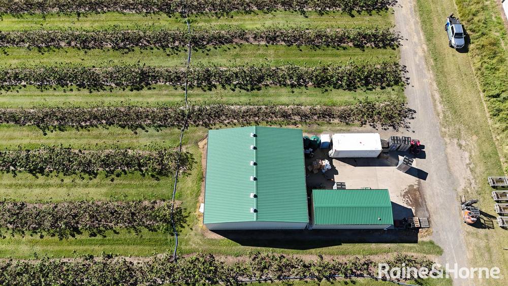 135 Newlands Road, NORTH GREGORY, QLD 4660
