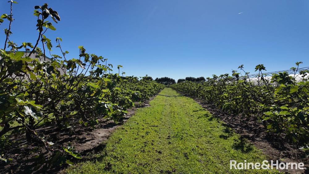135 Newlands Road, NORTH GREGORY, QLD 4660